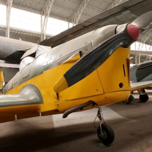 Miles M.14A Magister I_BAM_AELR