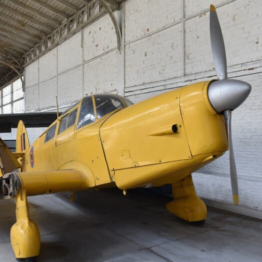 Percival P.31C Proctor IV_BAM_AELR