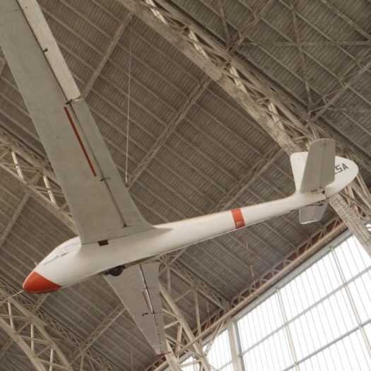 SZD-8bis Jaskotka_BAM_AELR