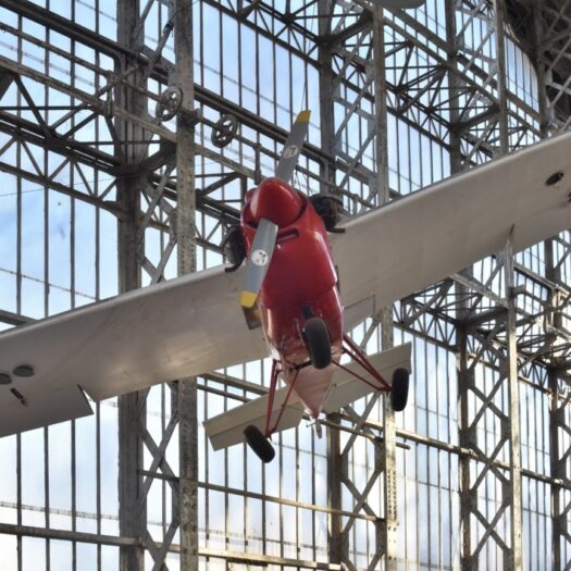 Tipsy Nipper_BAM_AELR